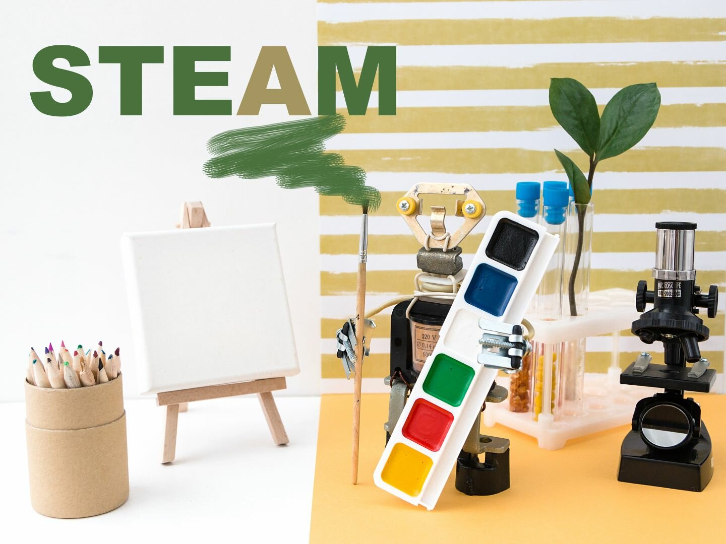 Steam Education in Preschool